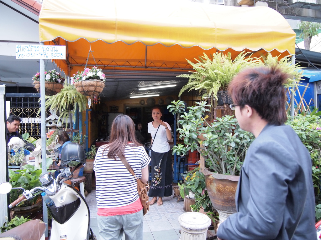 P3310536.JPG P3310536.JPG