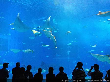 2013-11-01 13.49.32 2013-11-01 13.49.32