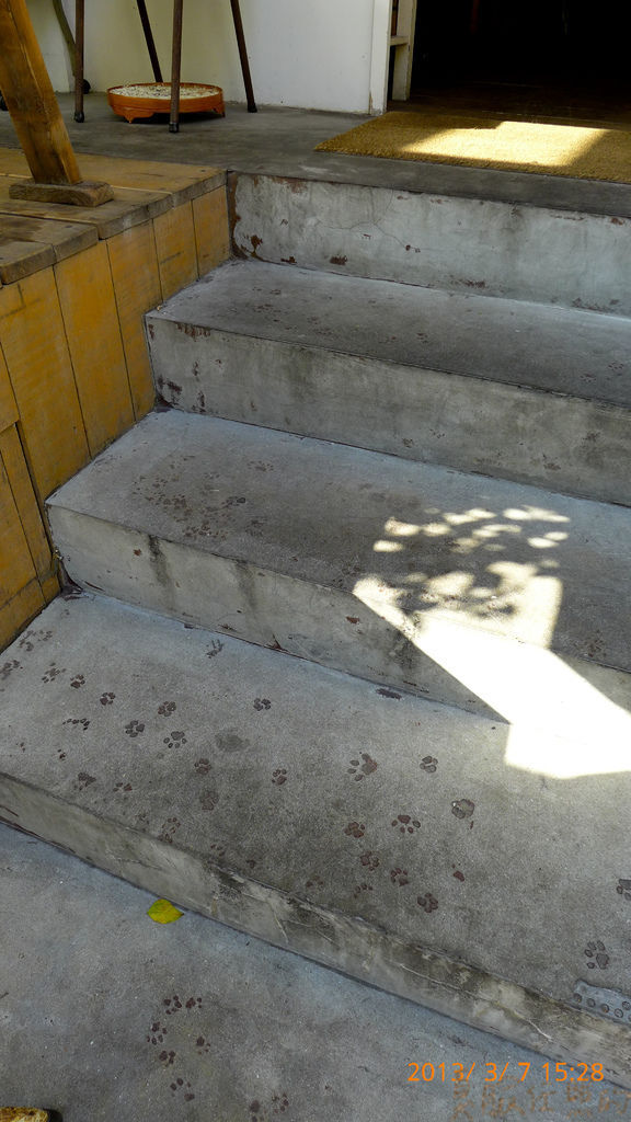 P1020308-20.jpg P1020308-20.jpg