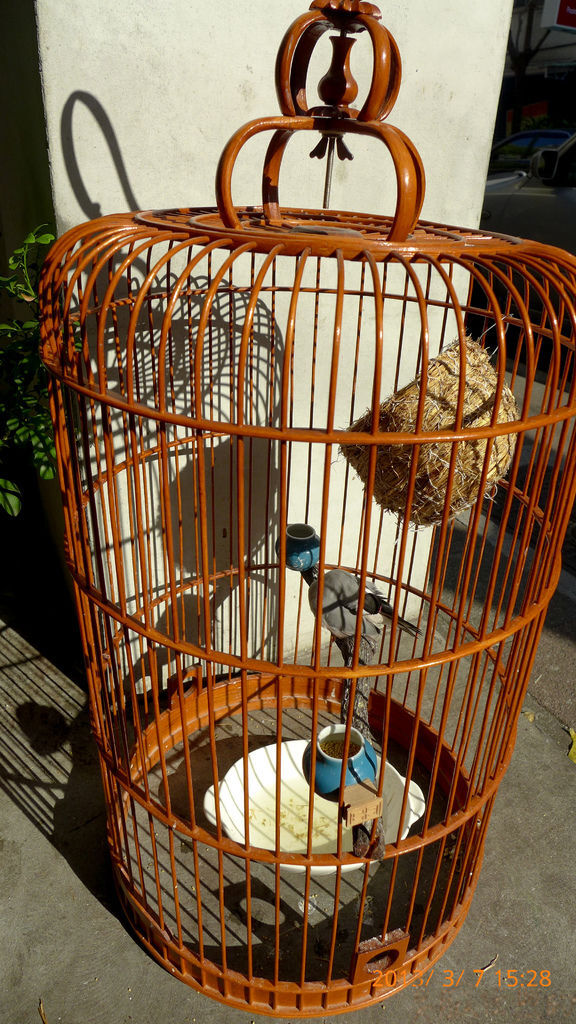 P1020311-23.jpg P1020311-23.jpg