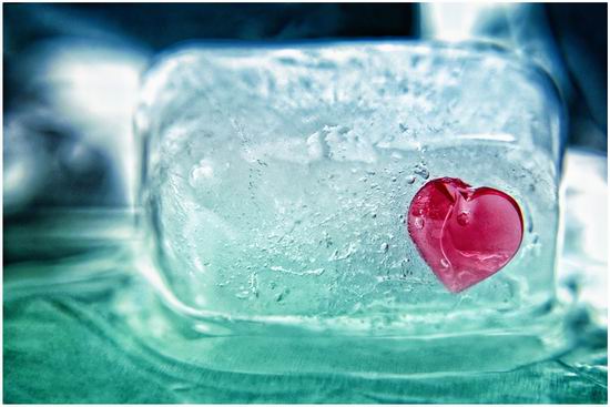 xin_300807301316484671833