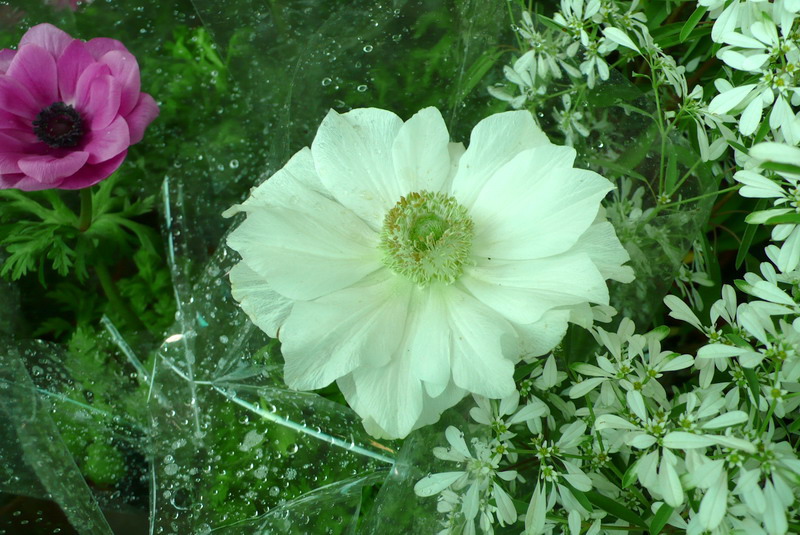 P1200128