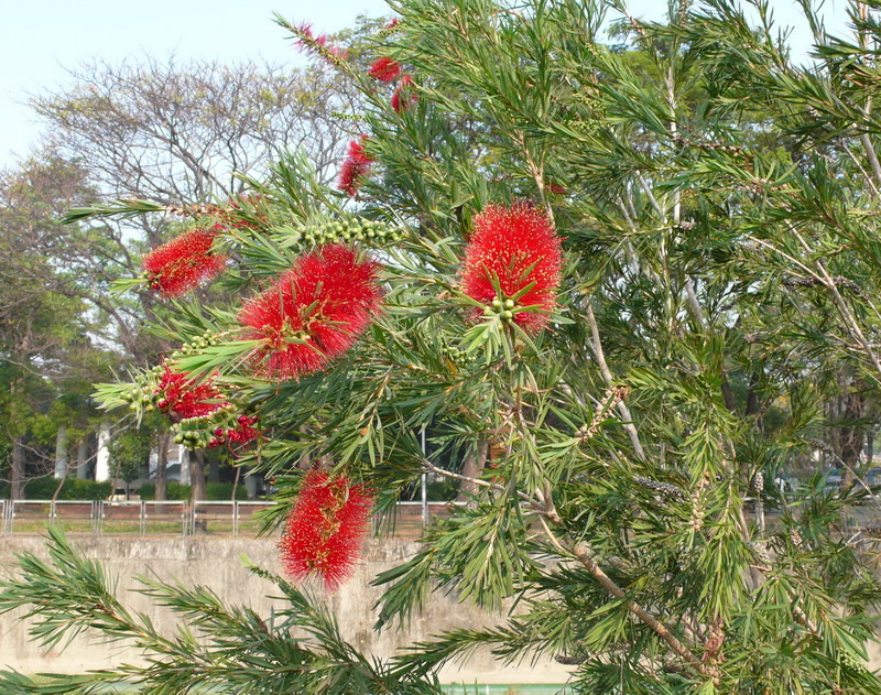 P1200191 P1200191