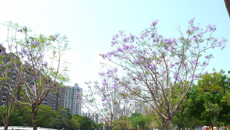 P1210577 P1210577