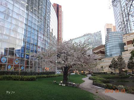 DSC01180_by 70 DSC01180_by 70