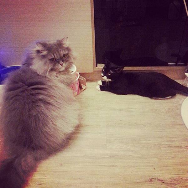 IMG_20131019_184033 IMG_20131019_184033