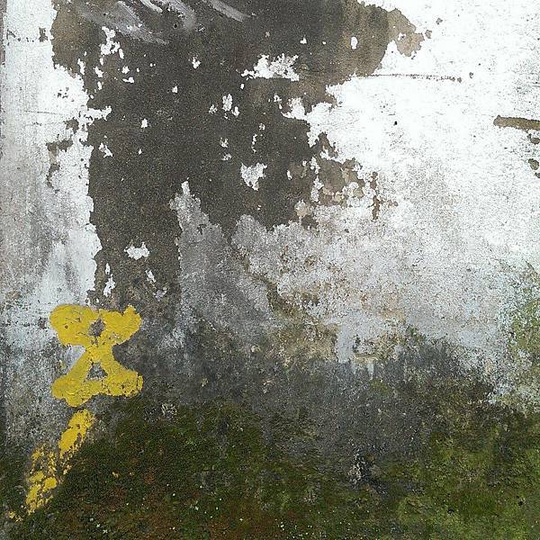 644488_10151547203331382_767425219_n