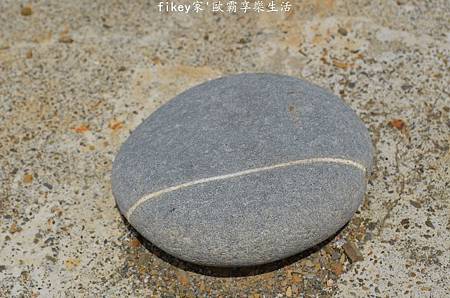 DSC_0607.JPG DSC_0607.JPG