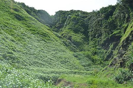 DSC_0624.JPG DSC_0624.JPG