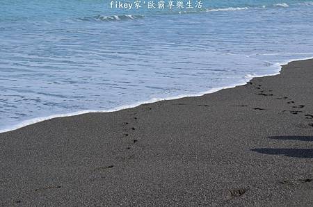 DSC_0677.JPG DSC_0677.JPG