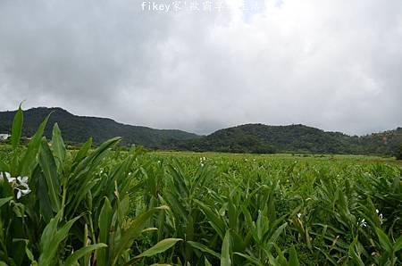 DSC_0694.JPG DSC_0694.JPG