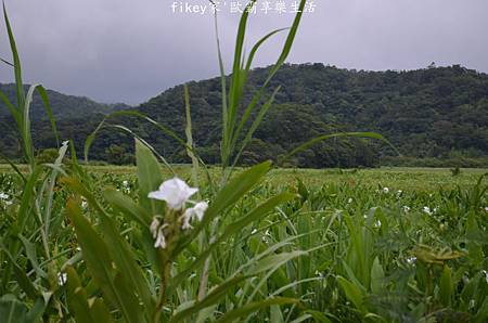 DSC_0697.JPG DSC_0697.JPG