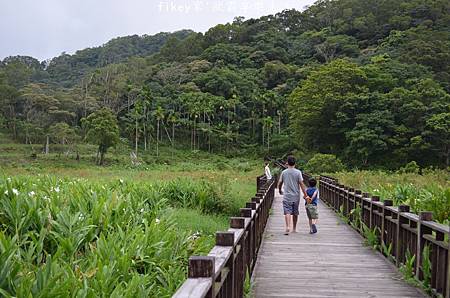 DSC_0701.JPG DSC_0701.JPG