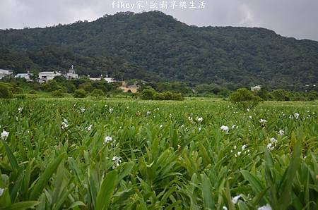 DSC_0702.JPG DSC_0702.JPG