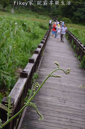 DSC_0704.JPG DSC_0704.JPG