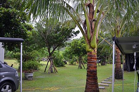 DSC_0713.JPG DSC_0713.JPG