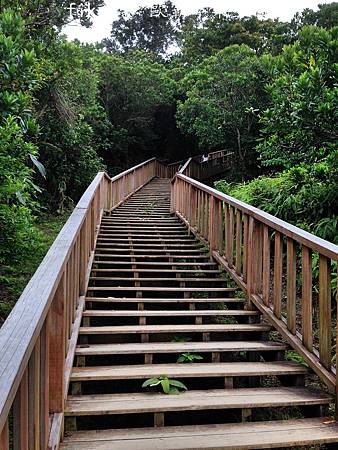 IMG_3966.JPG IMG_3966.JPG