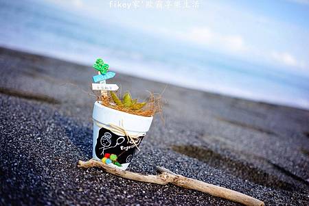 IMG_3990.JPG IMG_3990.JPG