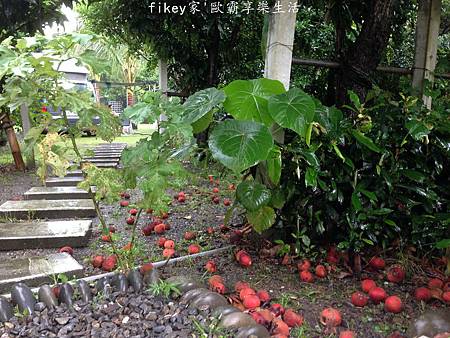 IMG_4014.JPG IMG_4014.JPG