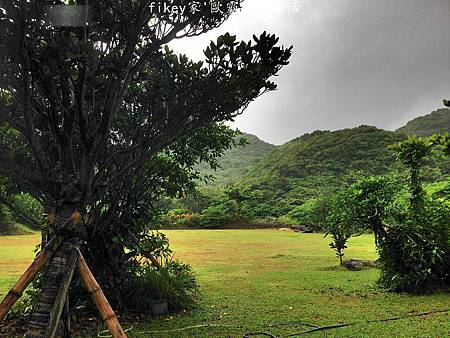 IMG_4031.JPG IMG_4031.JPG