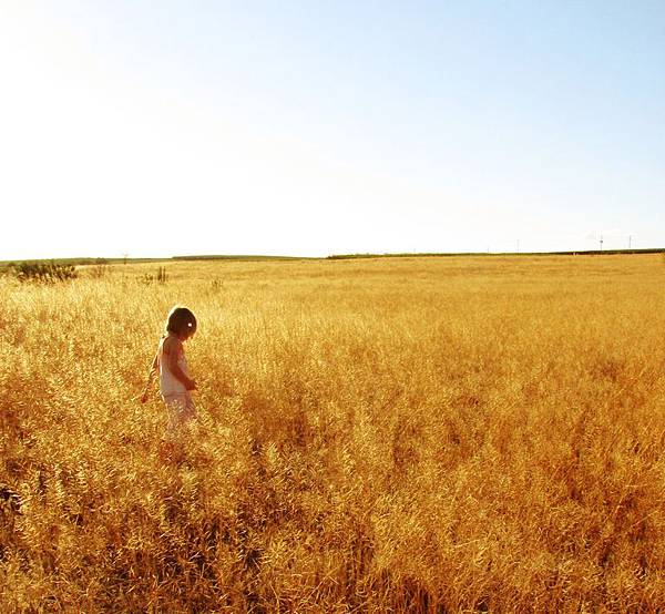 4980462671_022a121639_b 4980462671_022a121639_b