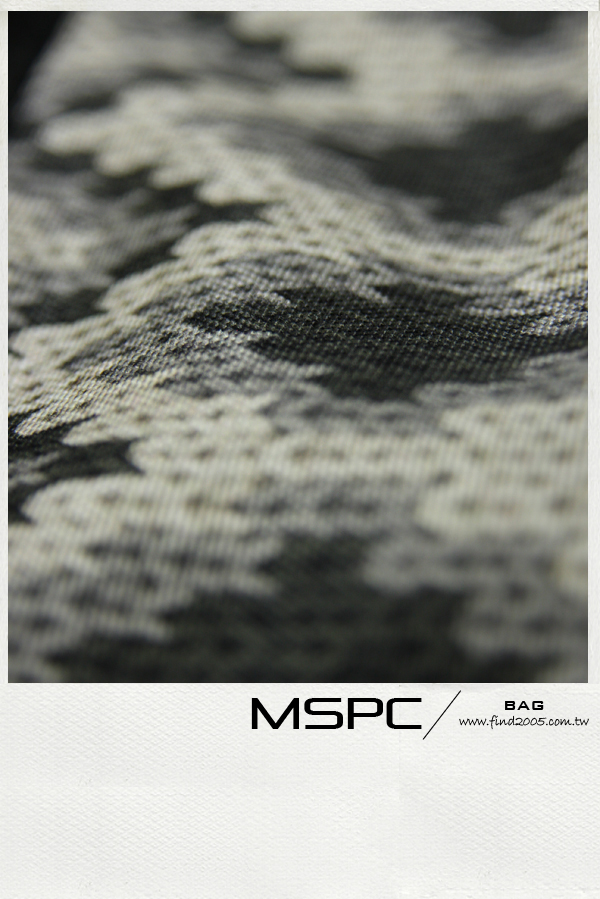MSPC (9).jpg