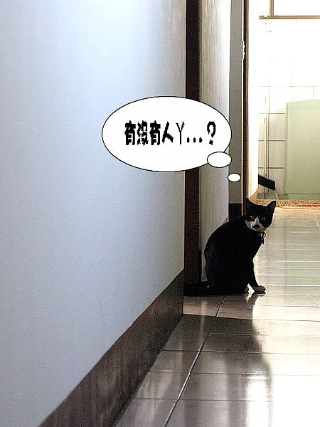 IMG_4640_大小03.jpg IMG_4640_大小03.jpg