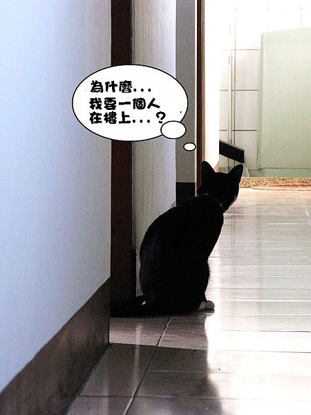 IMG_4637_大小03.jpg IMG_4637_大小03.jpg
