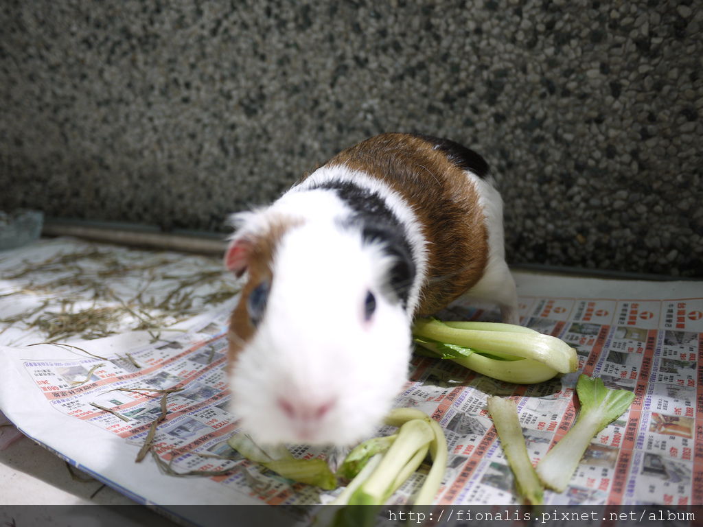 P1010354.JPG P1010354.JPG