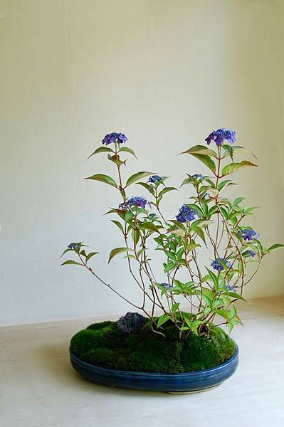 184af14459e110e47b5626bef8fdcd1c