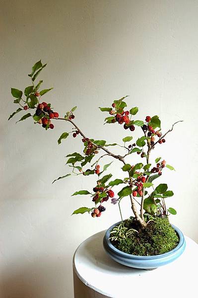 2918a3bb3161c674e25f5b18a79b2db1