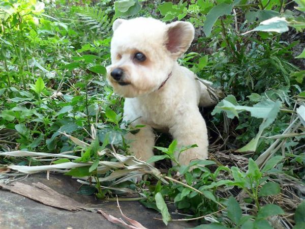 1192793923.jpg 1192793923.jpg