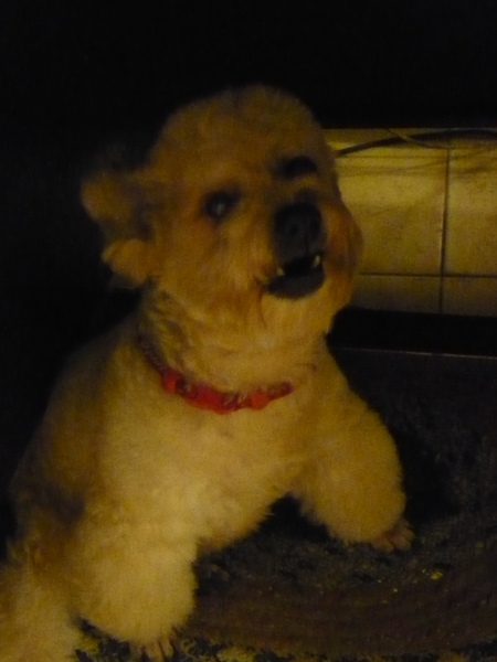 P1010643.JPG P1010643.JPG