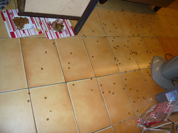 P1010640.JPG P1010640.JPG