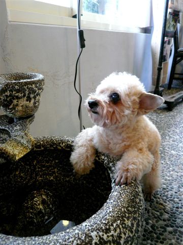 P1190833.JPG P1190833.JPG