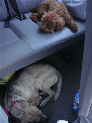 DSC03083.JPG DSC03083.JPG