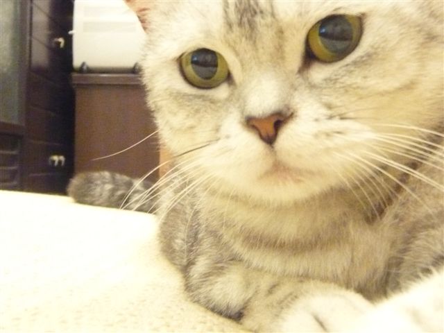 P1030303.JPG P1030303.JPG