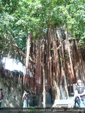 P1030410.JPG P1030410.JPG