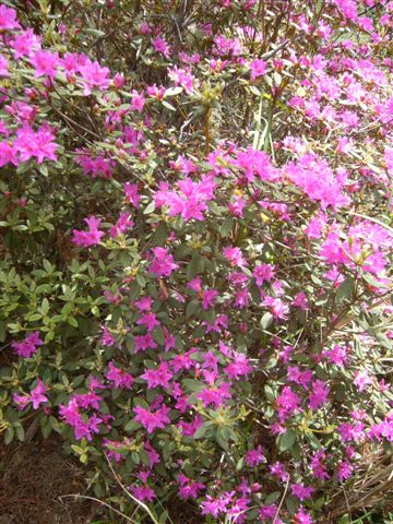 P1190927.JPG P1190927.JPG