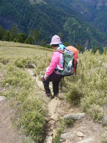 P1190971.JPG P1190971.JPG