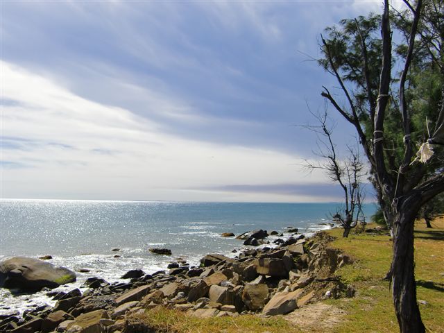 CIMG3078.JPG CIMG3078.JPG