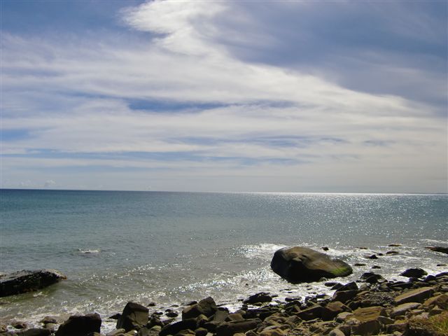 CIMG3077.JPG CIMG3077.JPG