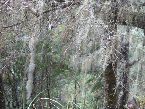 P1190911.JPG P1190911.JPG