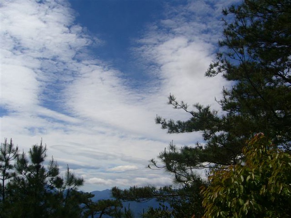 P1190918.JPG P1190918.JPG