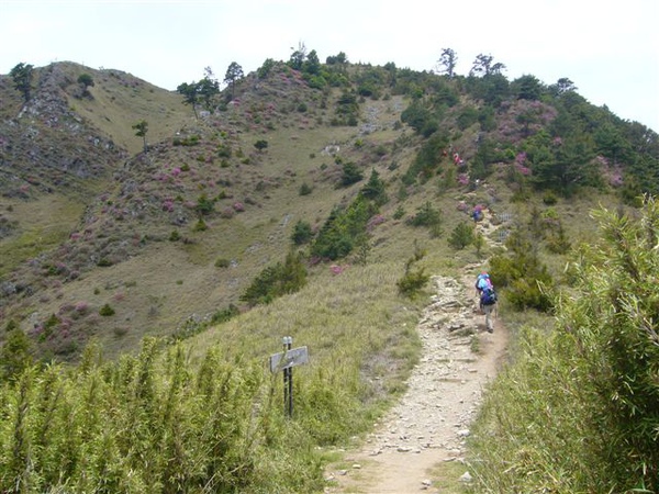 P1190940.JPG P1190940.JPG