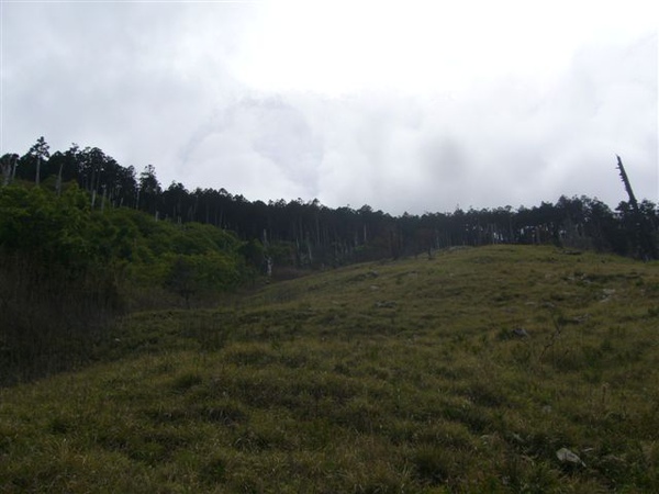 P1190983.JPG P1190983.JPG