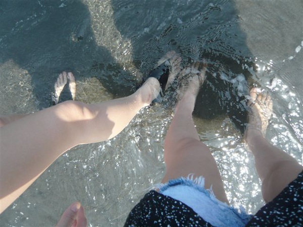 P1030653.JPG P1030653.JPG