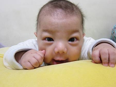 IMG_8174.JPG IMG_8174.JPG