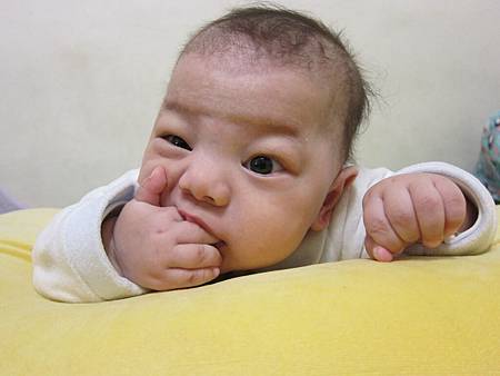 IMG_8175.JPG IMG_8175.JPG