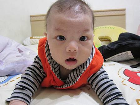 IMG_8280.JPG IMG_8280.JPG